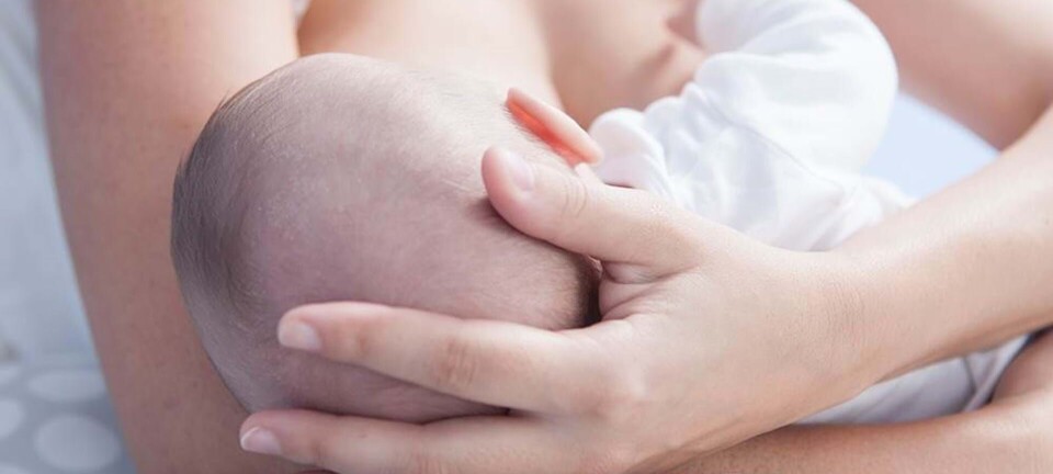 Hvor længe er det bedst at amme?