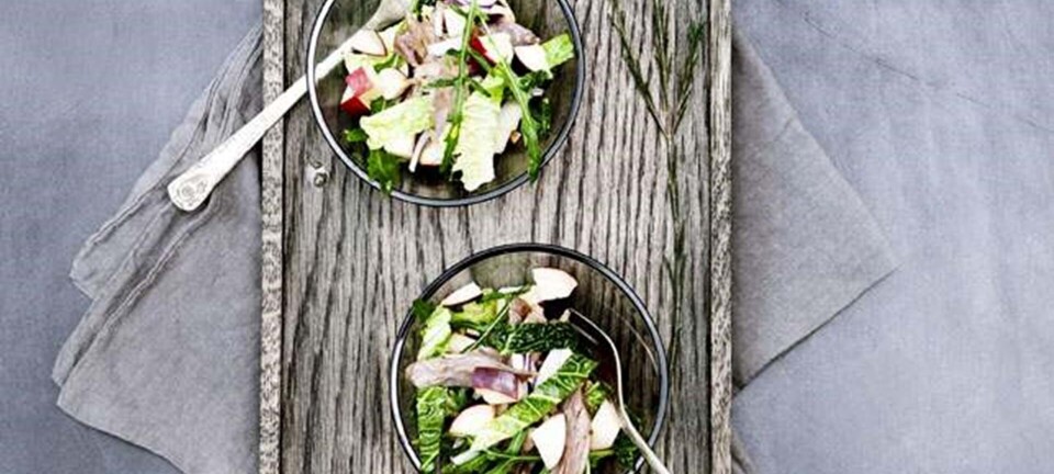 Salat med confiterede andelår, æble og savojkål