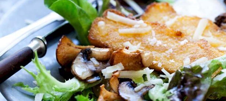 Salat: Lun svampesalat med stegt polenta