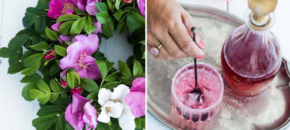 Skab strandstemning med hybenroser: Her er 6 søde idéer