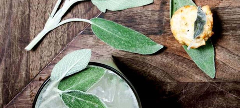 Minimuffins med gedeost og salvie og sage margarita