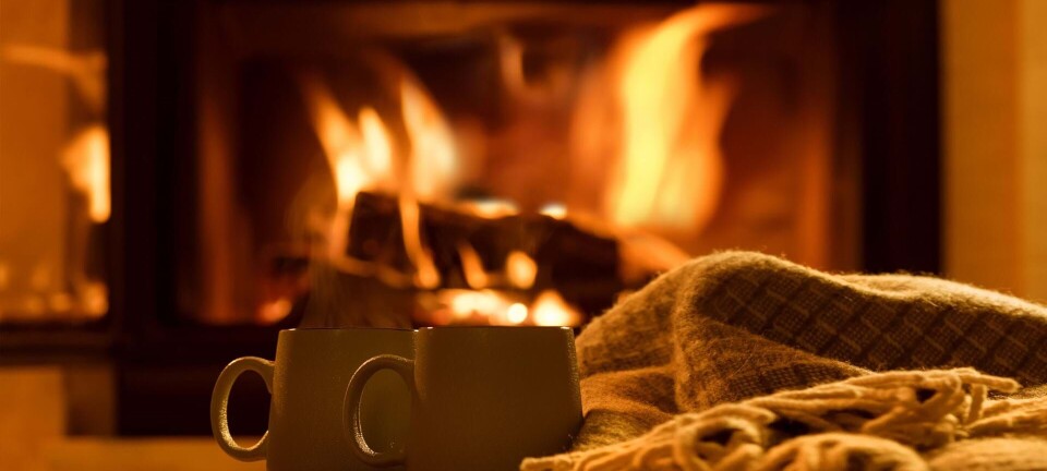 Guide: Sådan finder du den rigtige brændeovn