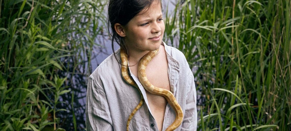 Modig har en slange som kæledyr: 'Engang slap Gulli ud. Det kommer vi aldrig til at glemme'