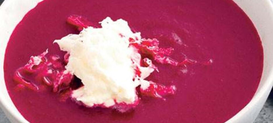 Rød rødbedesuppe med peberrodscreme