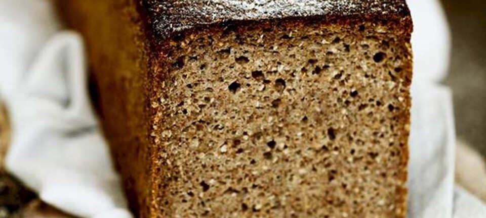 Rugbrød med rugkerner og rugmel