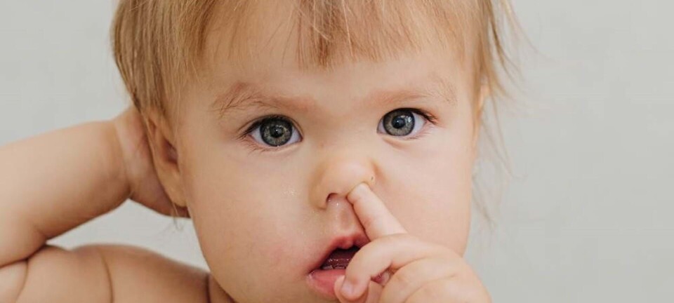 Det skal du vide om dit barns næse