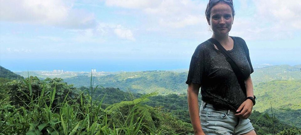 ”Da mit liv sejlede, steg jeg ombord på en båd i Caribien”