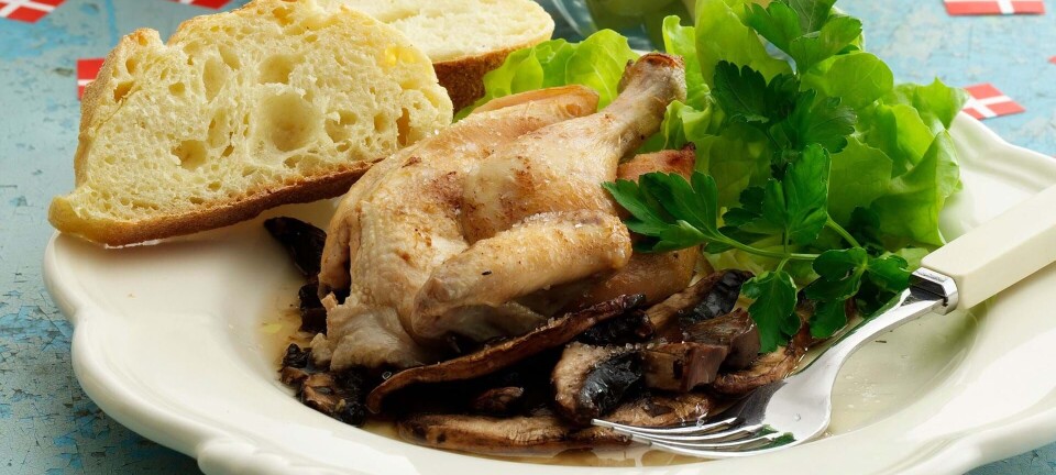 Sådan laver du kylling med hvidvin og svampe i stegeso