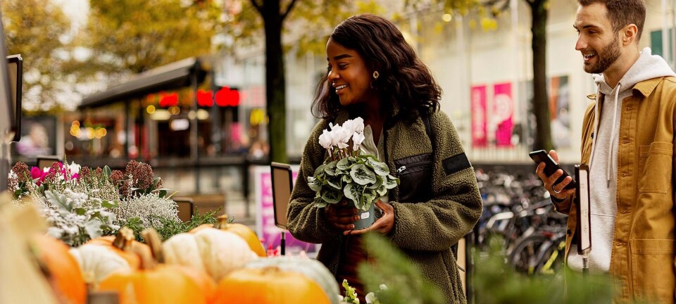 Romantik, gys og sjov: 22 ting, du kan lave i din efterårsferie