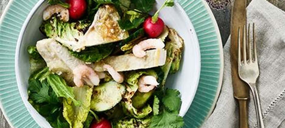 Kyllingebryst og rejer med grøn salat