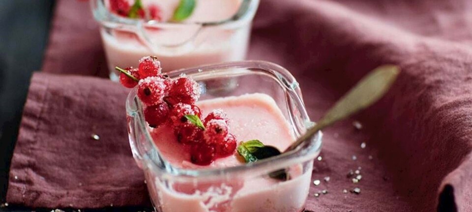 Panna cotta med hindbær og ‘frosne’ ribs