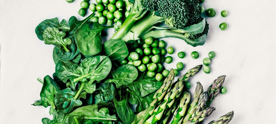 Det mener eksperterne om Grøn Keto