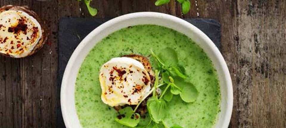 Brøndkarsesuppe og gedeostecroutoner