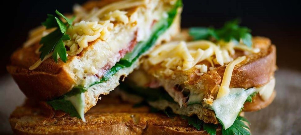 Sprøde toasts & lækre paninis: Det bedste grej & de lækreste opskrifter