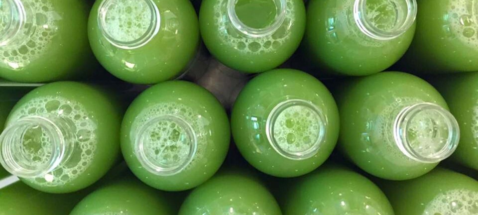 Det mener eksperterne om grøn juicekur