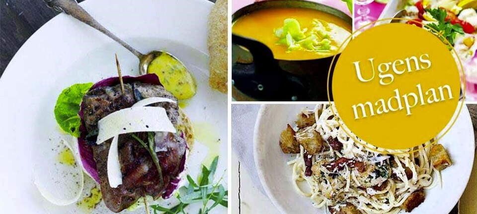 Lækker pasta med kylling, rygende varm karry-gulerodssuppe & italienske burgere: Her er ugens madplan til dig