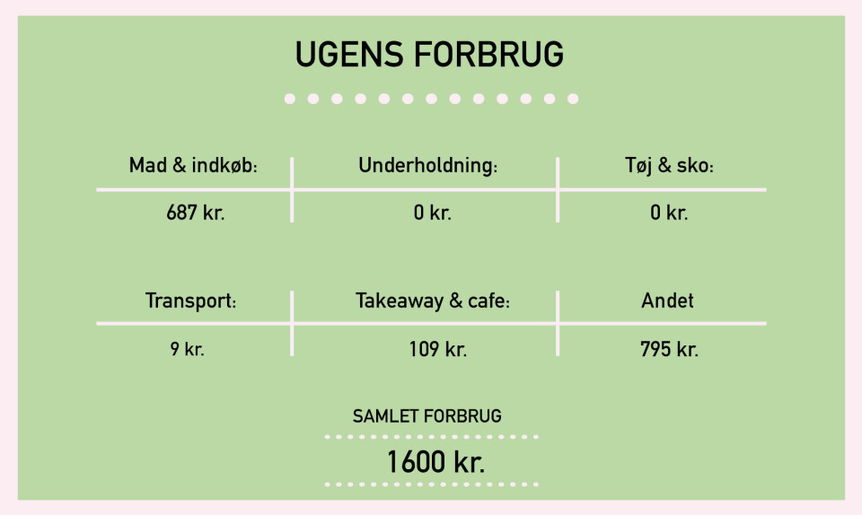Billede 3 - Forbrug_Trine.jpg