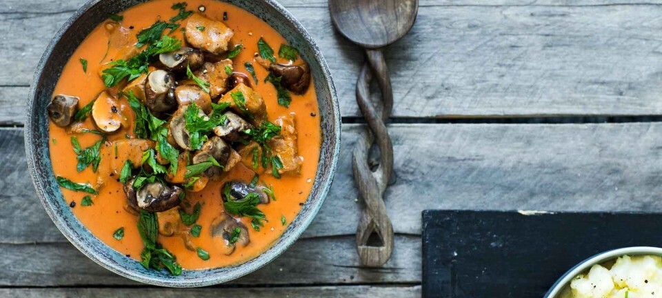 Skøn bøf stroganoff med chorizo og rodfrugtmos