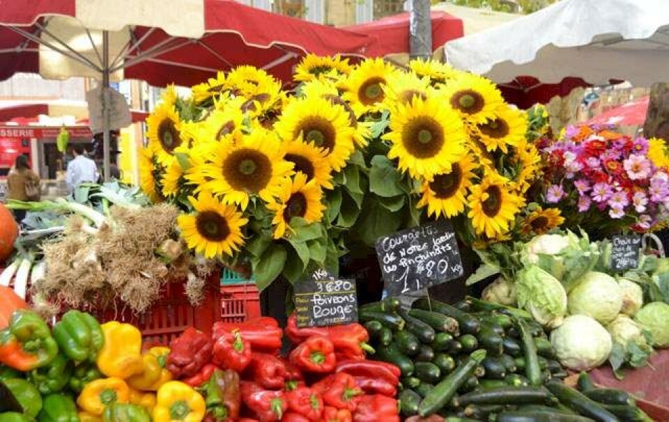 Aix-en-Provence: Cool, smuk og klog