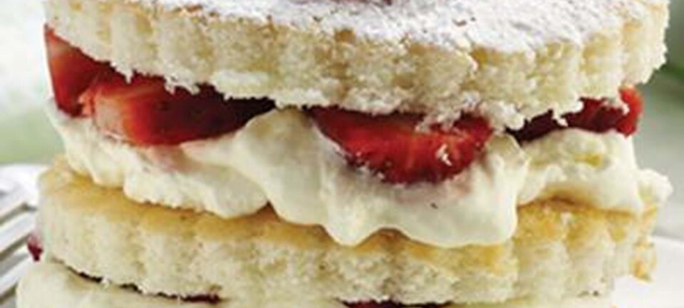 Minilagkager med hyldeblomst