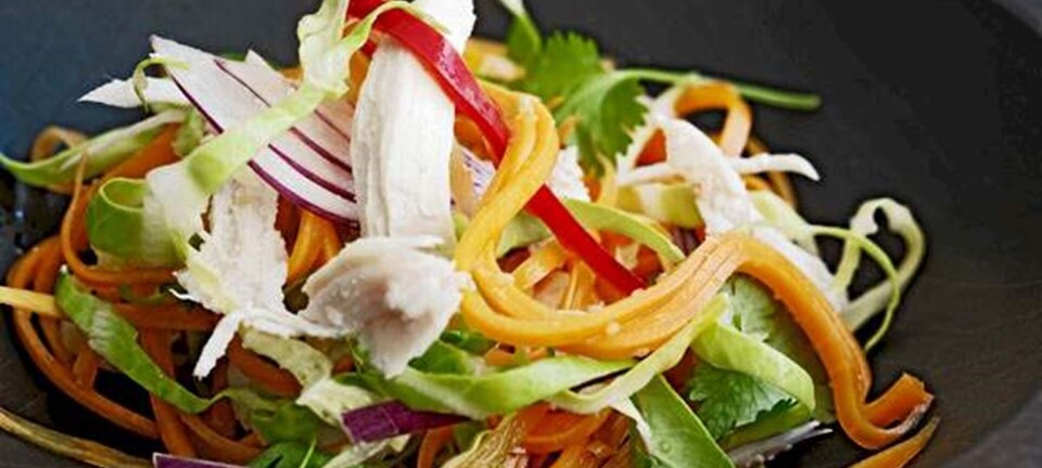 Thailandsk kyllingecoleslaw