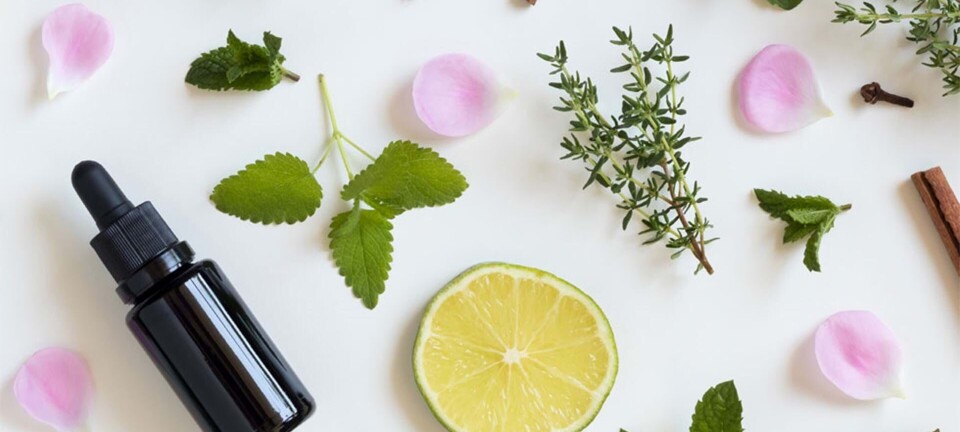 Essentielle fødevarer: Sådan smører du dig selv indefra