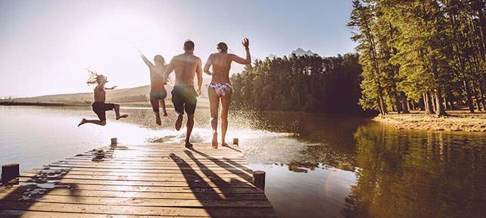 Guide: Sådan behandler du stik og bid fra sommerens giftige dyr