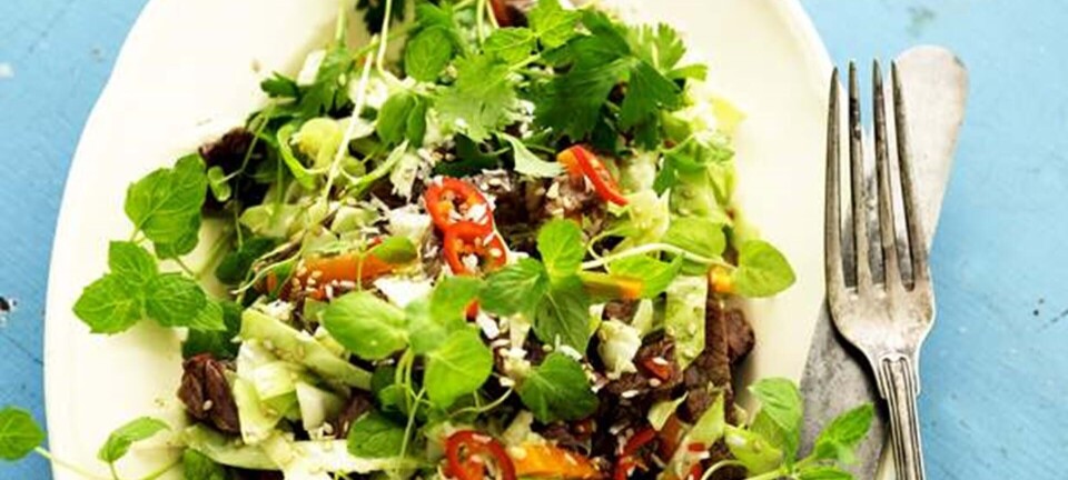 Salat med stærkt oksekød