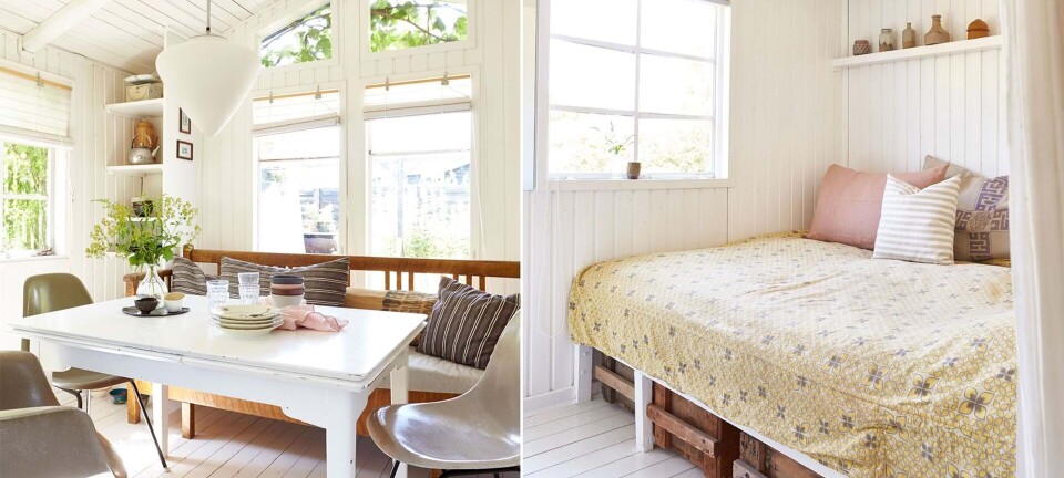 Susanne købte kolonihaven, ingen ville have. Og forvandlede den til den fineste oase