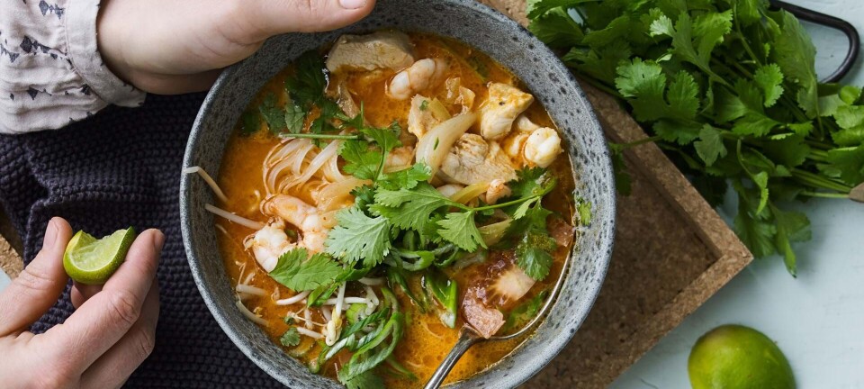 Hot suppe med kylling og rejer