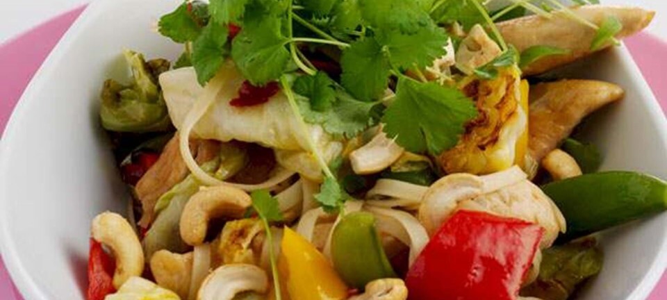 Lynstegt kylling asian style