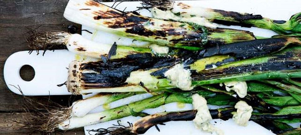 Grillede løgplanter med ramsløgbearnaise