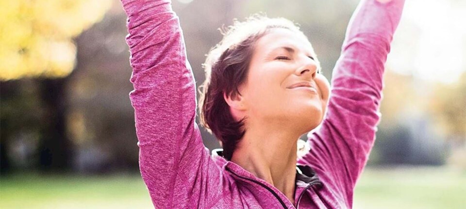 Mindfulness for begyndere: Bliv klogere på den meditative træningsform