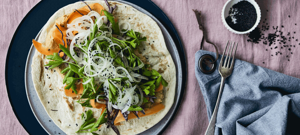 Fladbrød med hummus og løgsalat