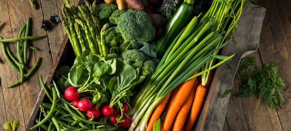 10 typiske spørgsmål om vegetarkost