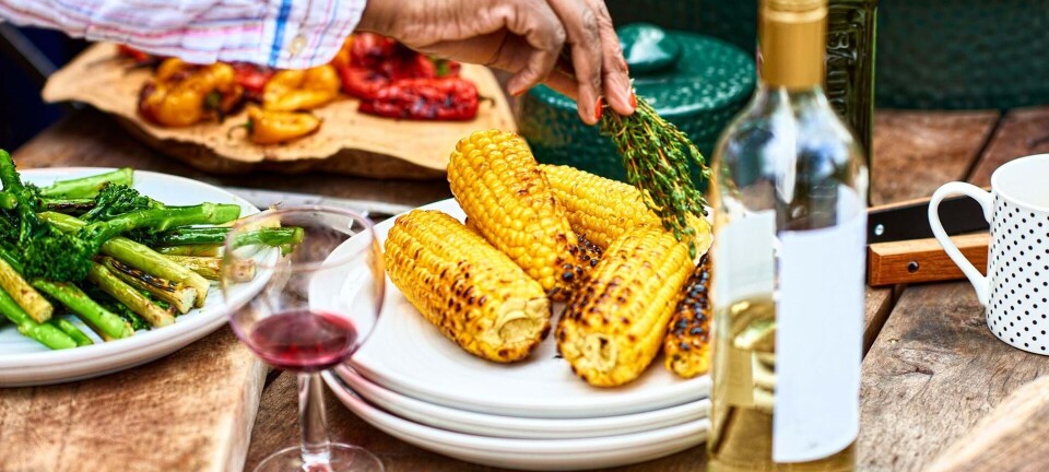 Stor guide: Sådan undgår du at blive syg af grillmaden