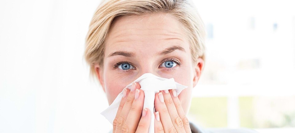 Zoneterapi mod allergi: Vi har testet