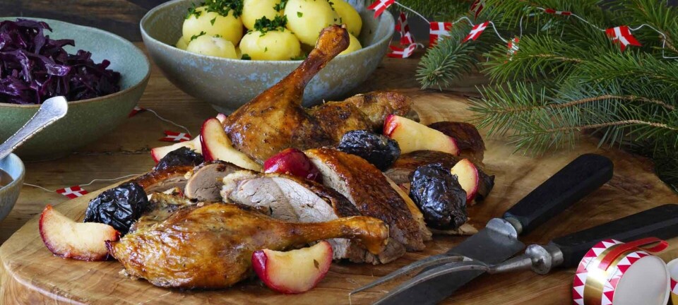 Hvilken and skal du vælge: Skrabeand, fritgående eller økologisk?