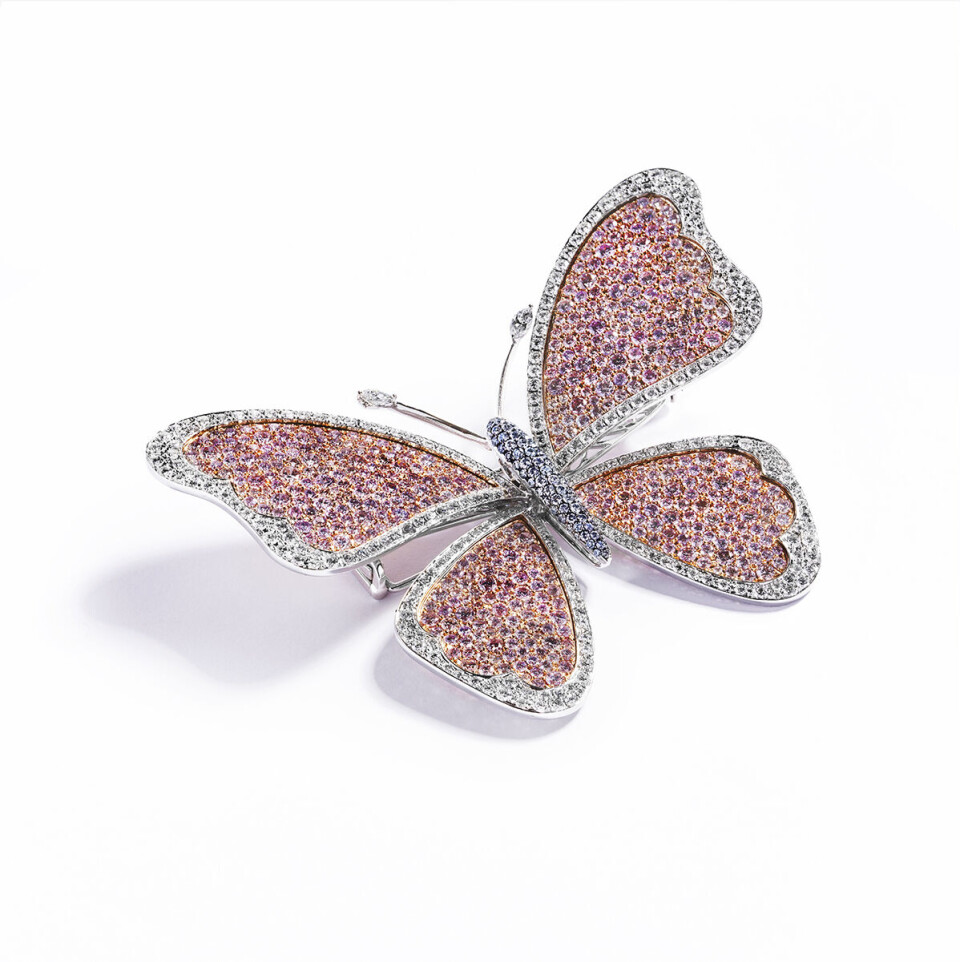 Hartmann’s Pink Butterfly