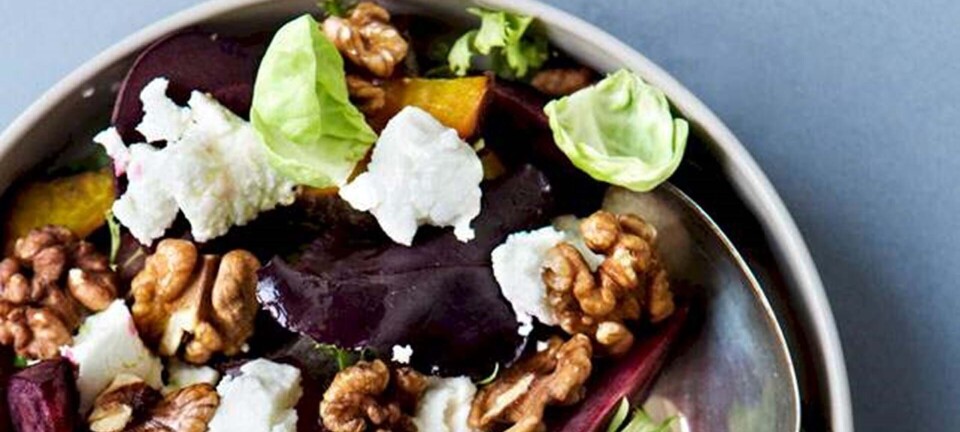 Flerfarvet rødbedesalat med gedeost, rosenkål og valnødder