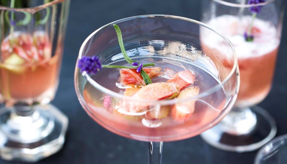 Opskrift på drink med hjemmelavet rabarbervodka