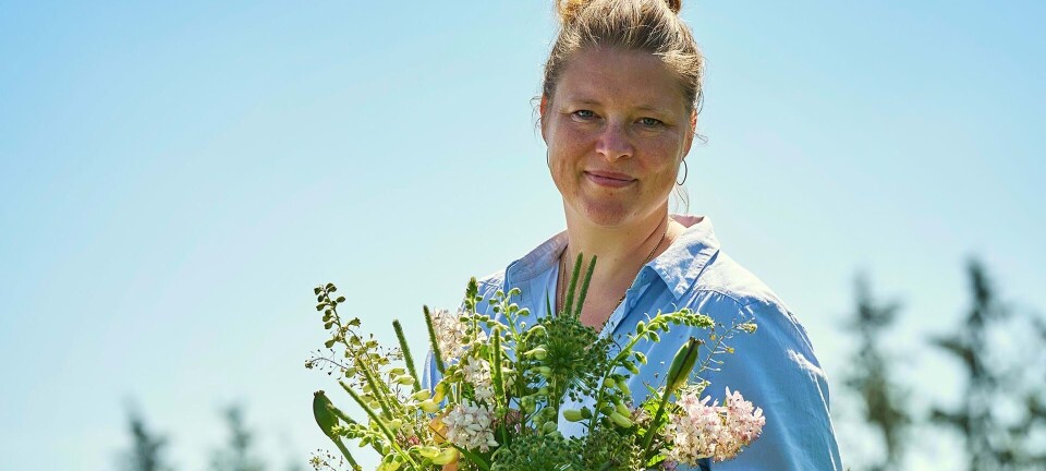 Maria binder buketter: Sådan får du din buket til at holde længere