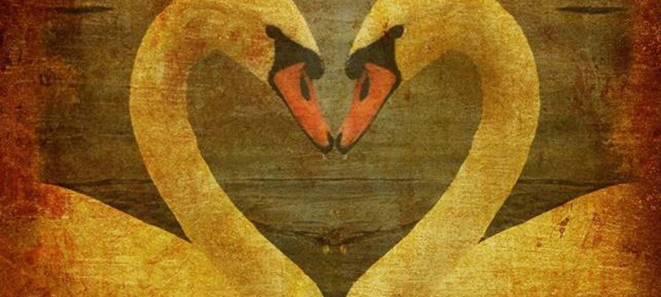 Derfor er det blevet sværere at finde kærligheden