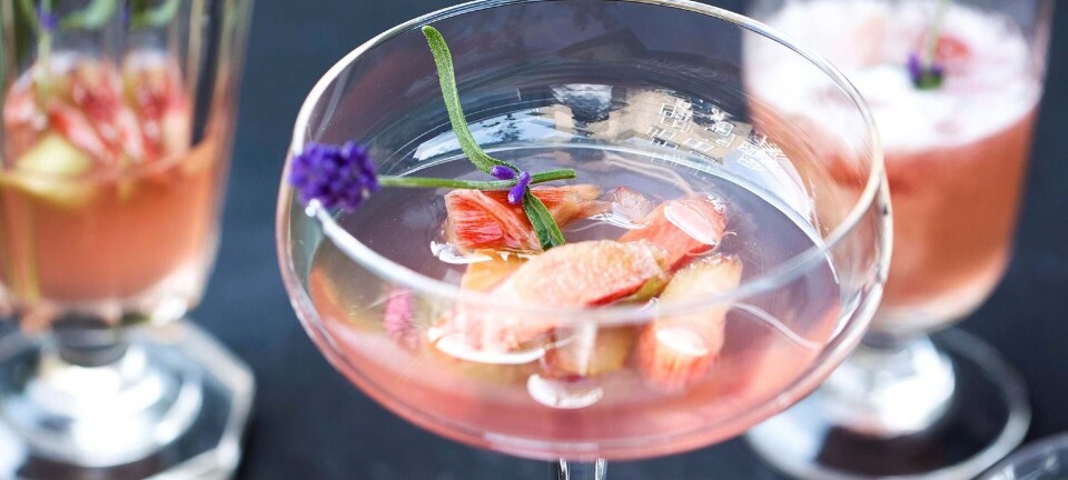 Rabarbervodka med crémant og lavendel