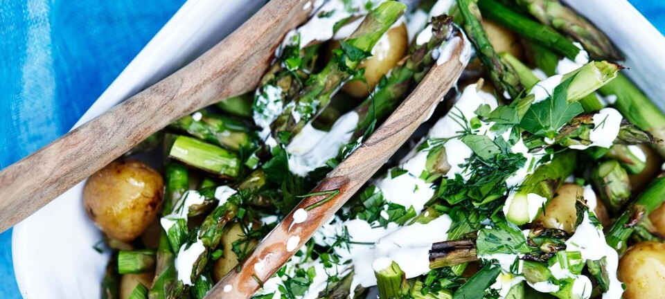 Nem kartoffelsalat med grillet asparges