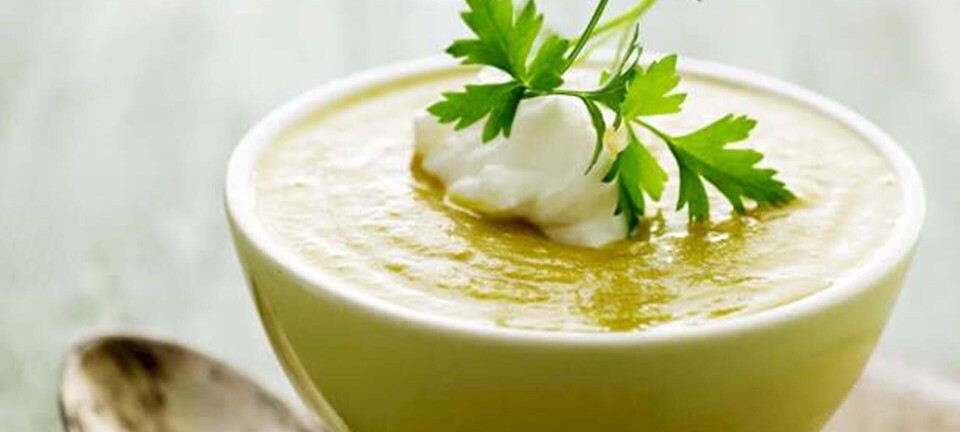 Rodfrugtsuppe med æble