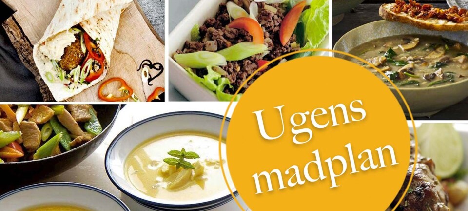 Nemme fladbrød, skøn thai-mad & suppe med bruschetta: Her er ugens madplan til dig