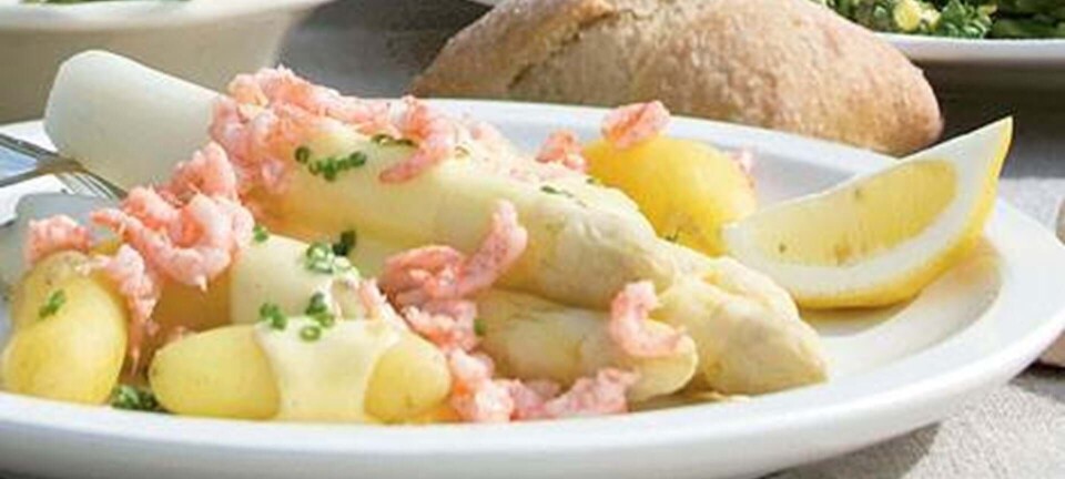 Asparges med rejer og hollandaisesovs