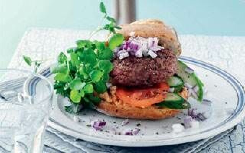 8 opskrifter på sund grillmad