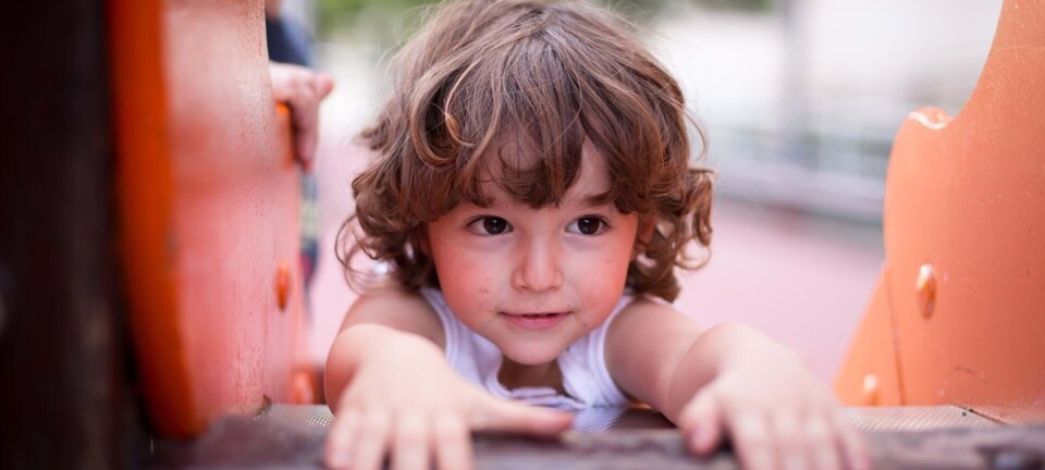 11 sikre hits: Her er de bedste legepladser i København